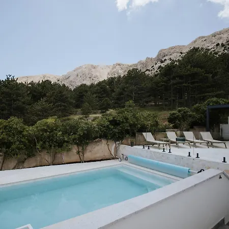 Zlata - House *