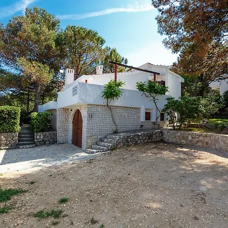 Zlata - House